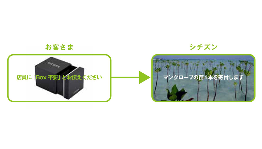 シチズン Eco Tree ACTION