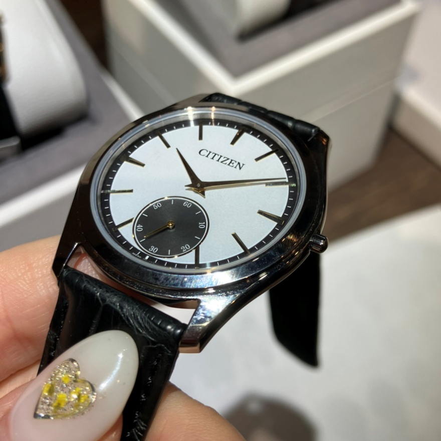 ザ・シチズン AQ5010-01A