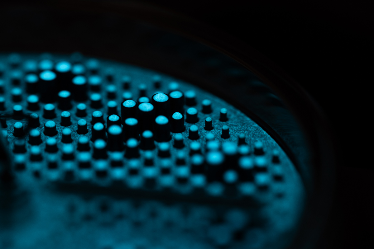 コロキウム「プロジェクト 01 ヴァリアント G “パウダーブルー”」