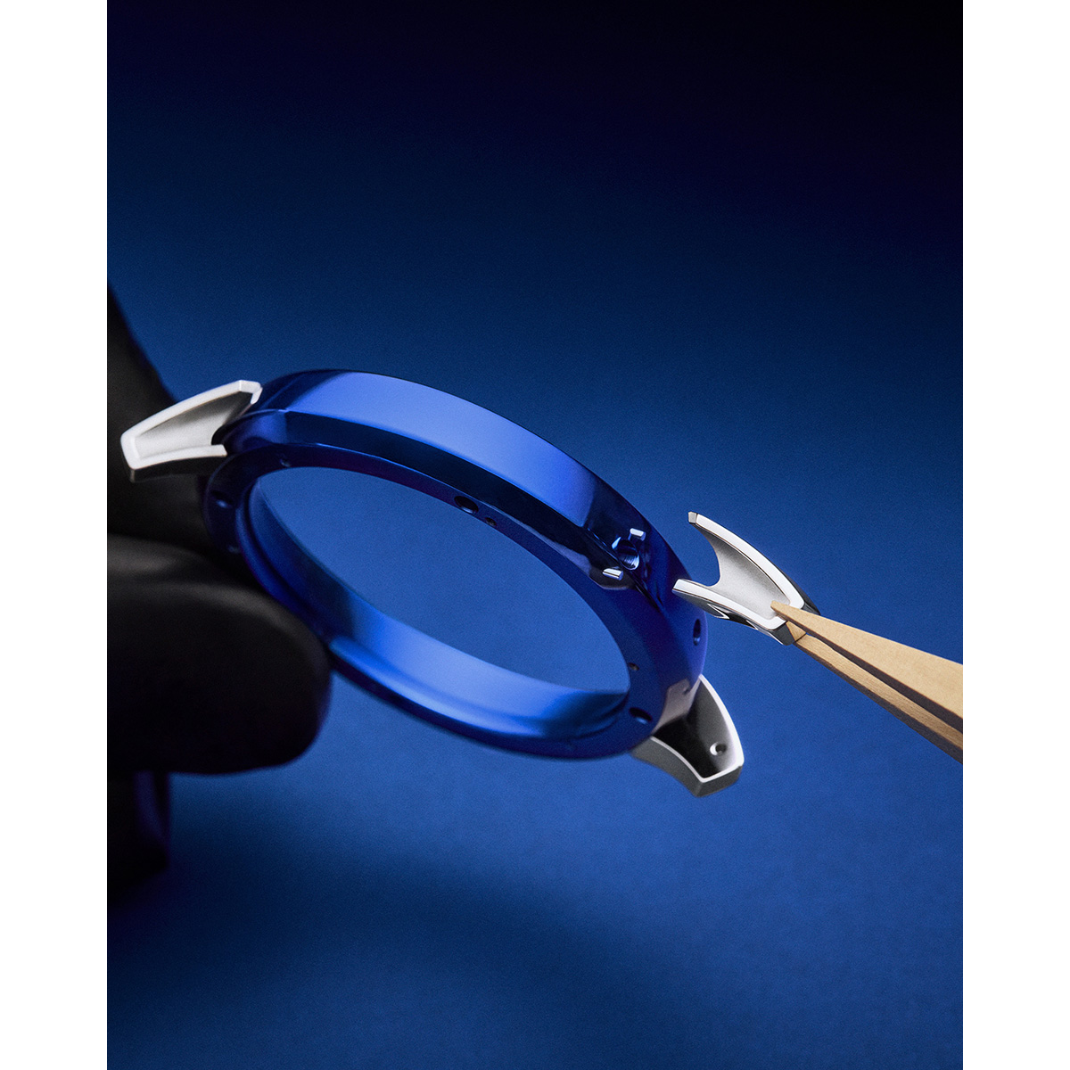 ラグとリュウズ