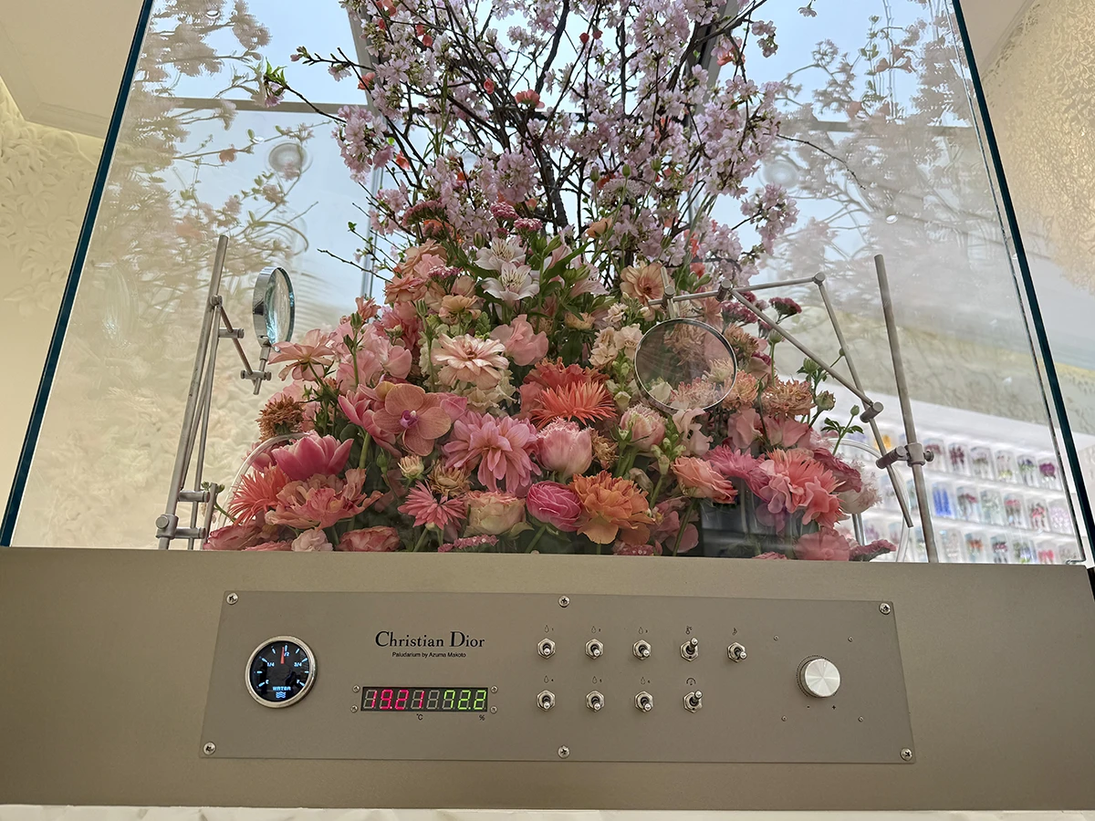 東信「パルダリウム」