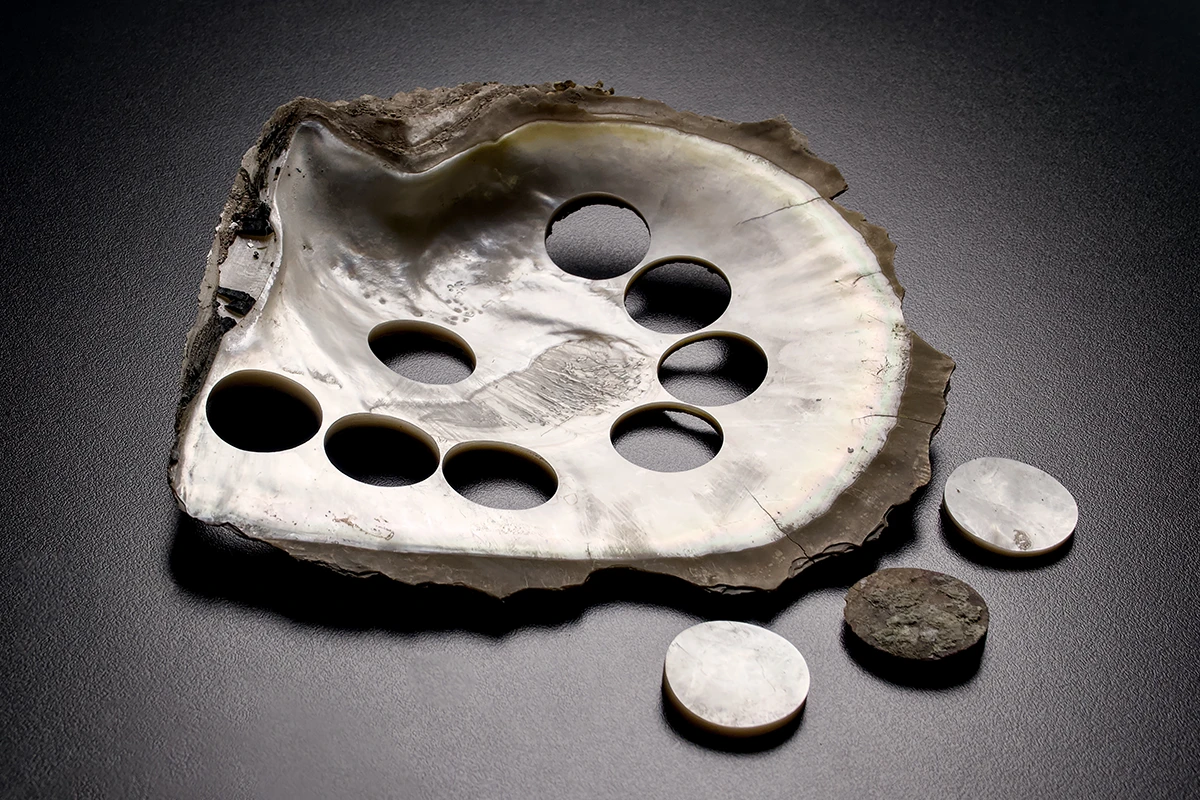 チャペック アンタークティック S アイスクラウド