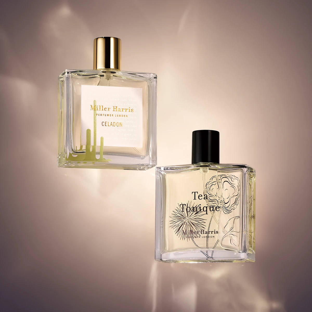 セラドン オーデパルファム、ティー トニック オーデパルファム