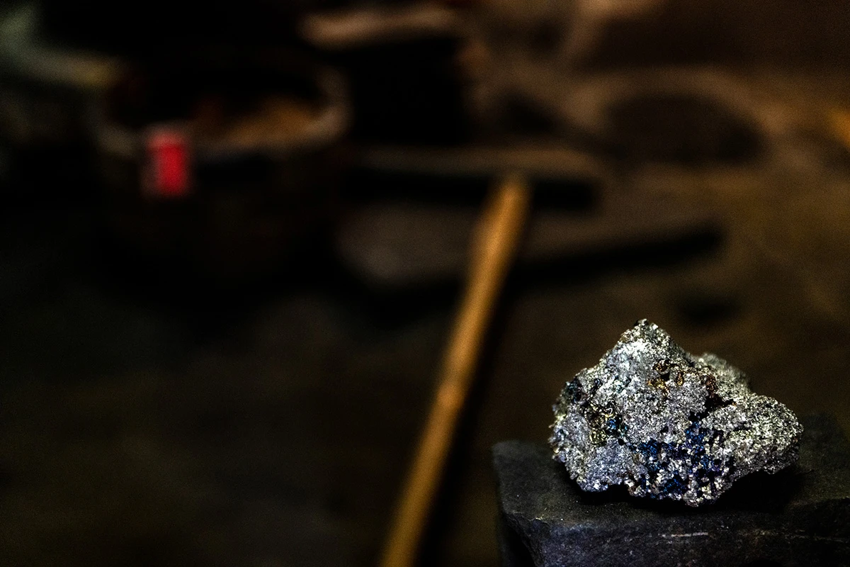 ミナセ アサギマダラ