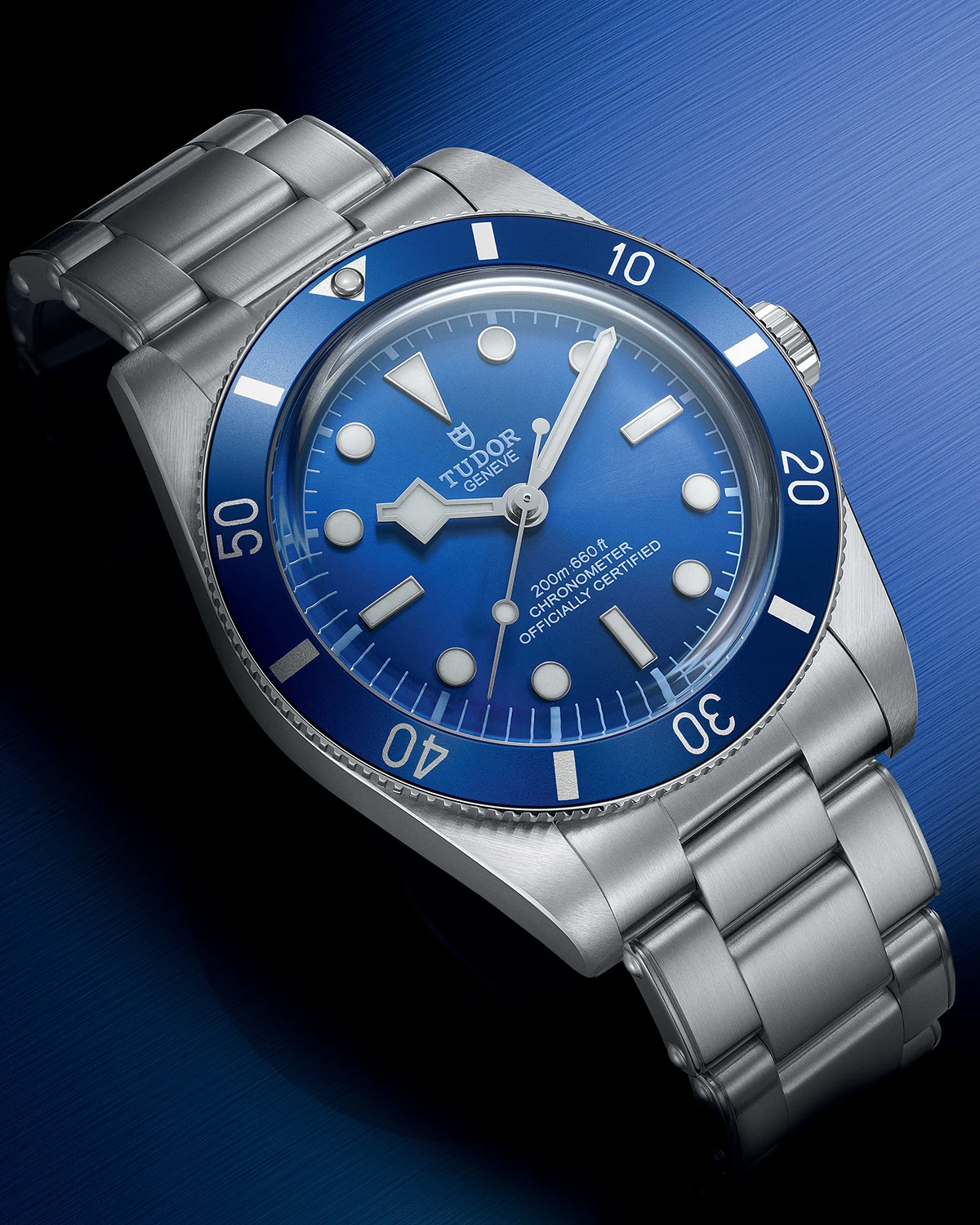 チューダー「ブラックベイ 54」