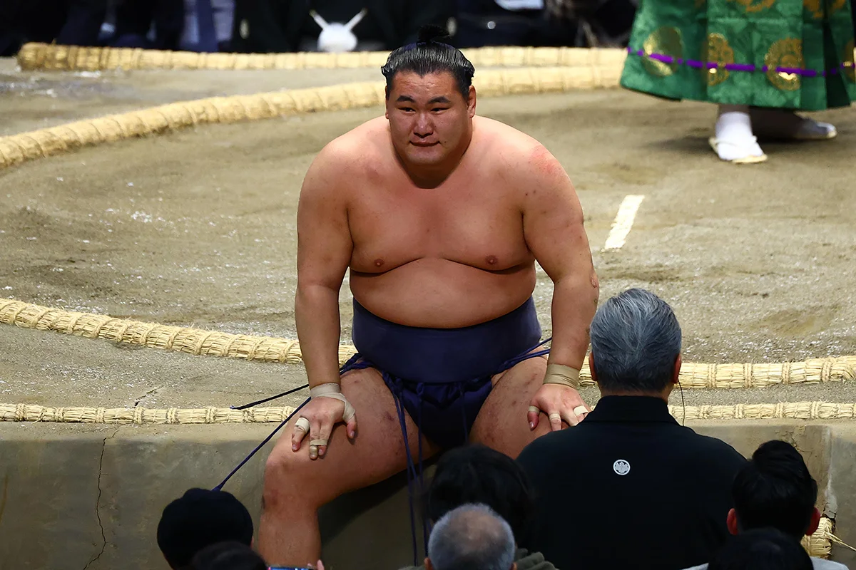 豊昇龍